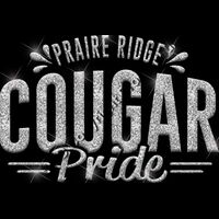 GLT62 SILVER GLITTER Thumbnail