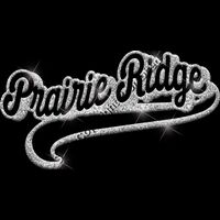 GLT78 SILVER GLITTER Thumbnail