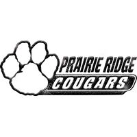 GLT102 BLACK GLITTER Thumbnail